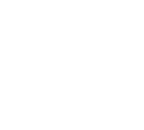 Gemini Ship Management logo